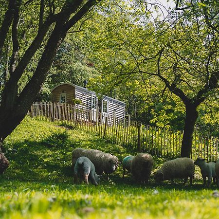 Somerset Shepherds Huts Winsham Exteriér fotografie